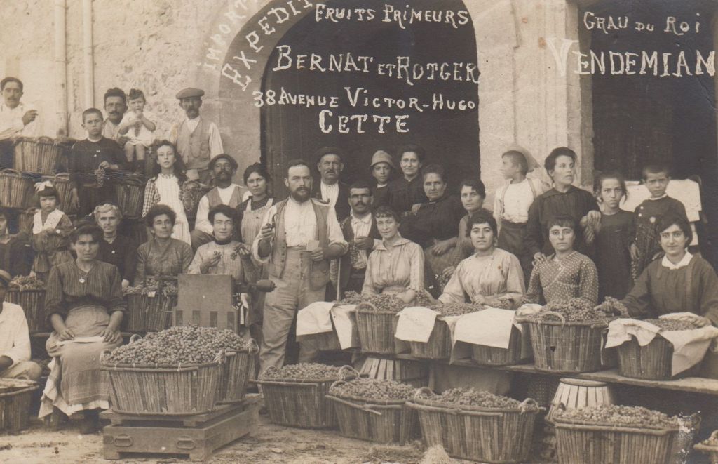 Vendémian, fruits primeurs Bernat & Rotger