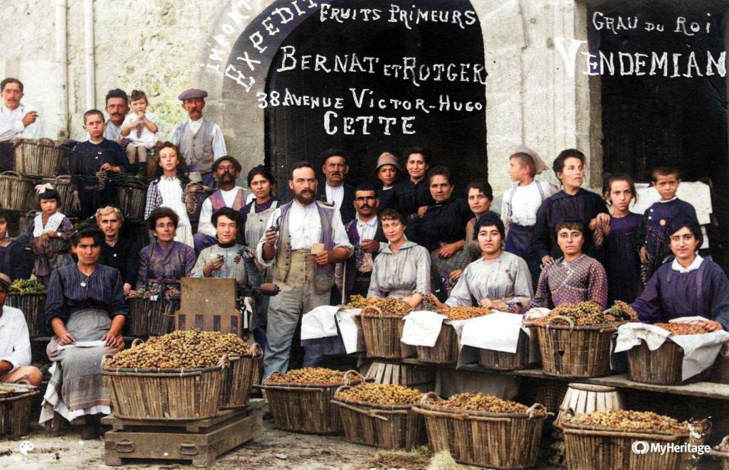 Vendémian, fruits primeurs Bernat & Rotger, colorisée par MyHeritage