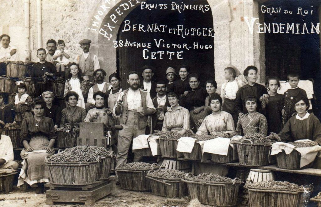 Vendémian, fruits primeurs Bernat & Rotger